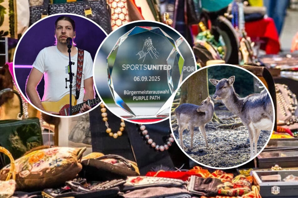 Acht Ideen für Euren Samstag in Chemnitz und Umgebung