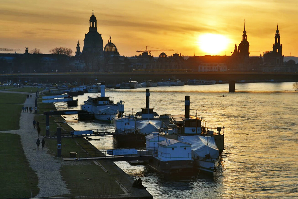 Die Inzidenz steigt in Dresden wieder leicht an.