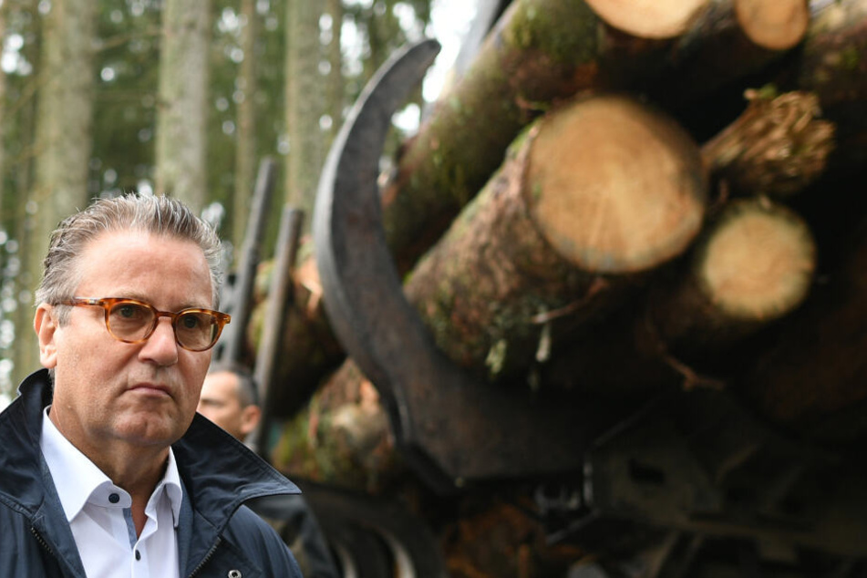 Forstminister Perter Hauk (CDU).