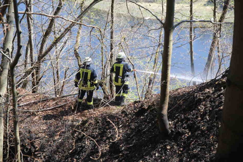 In dem toten Holz flammten immer wieder Glutnester auf.