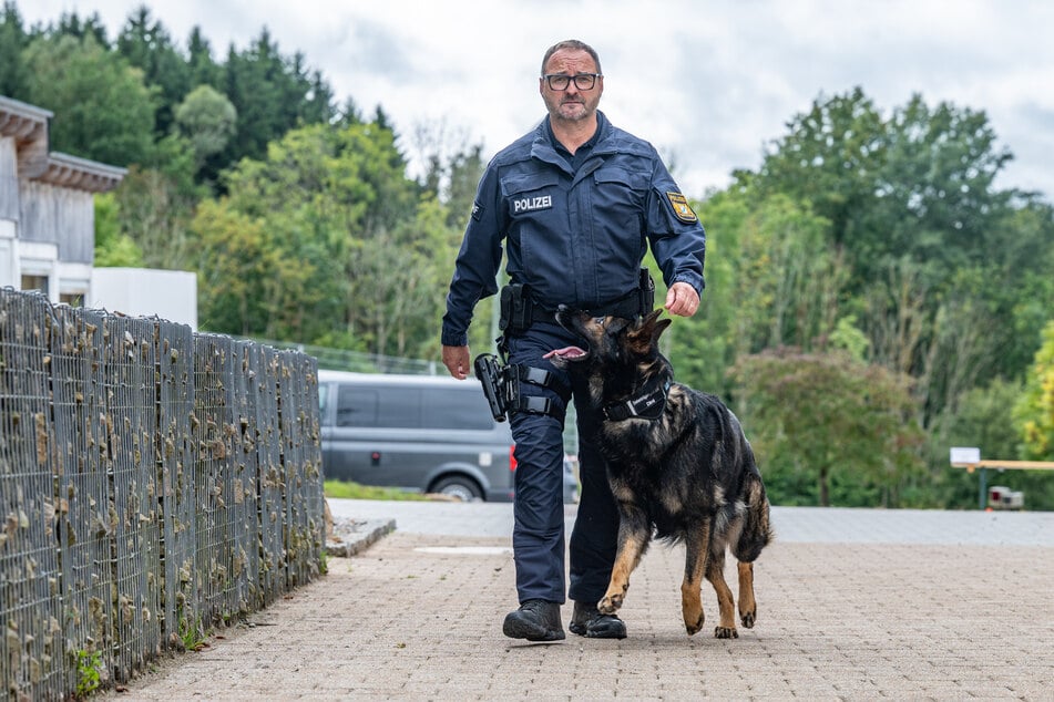 Diensthunde bei der Polizei werden eingesetzt, um Beamte zu unterstützen, etwa zur Festnahme aggressiver Täter. (Symbolbild)