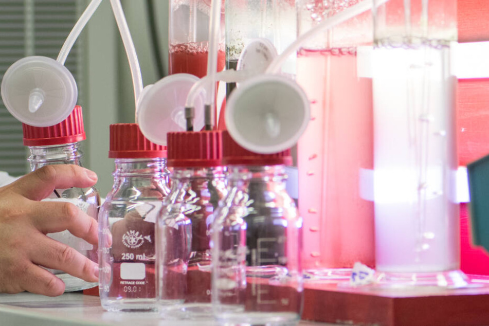 Vor allem im Technik- und Gesundheitsbereich mangelt es an Fachkräften. Neue Studiengänge sollen dabei helfen.
