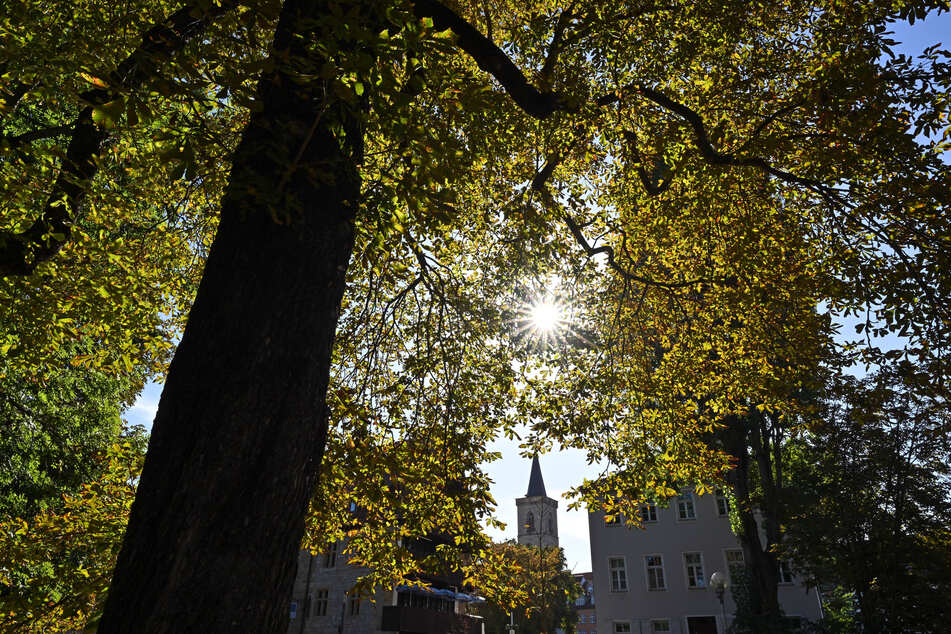 Besonders am Sonntag dürfen sich die Menschen in NRW auf goldene Herbstmomente freuen. (Symbolfoto)