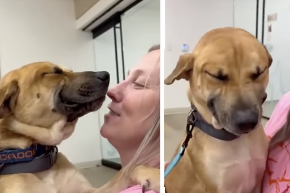 Hund "Eugene" lächelte breit, als ihm klar wurde, dass seine ehemalige Pflegemutter ihn adoptieren wollte.