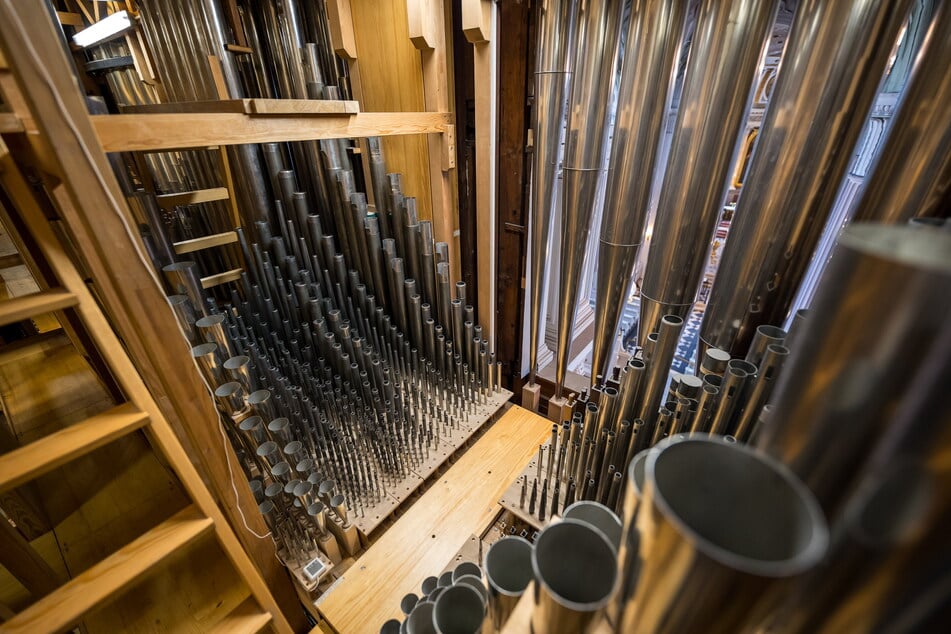 Wie ein gewachsener Wald sind die Pfeifen im Innern der Orgel aufgereiht. Rund zwei Drittel sind Originalbestand.