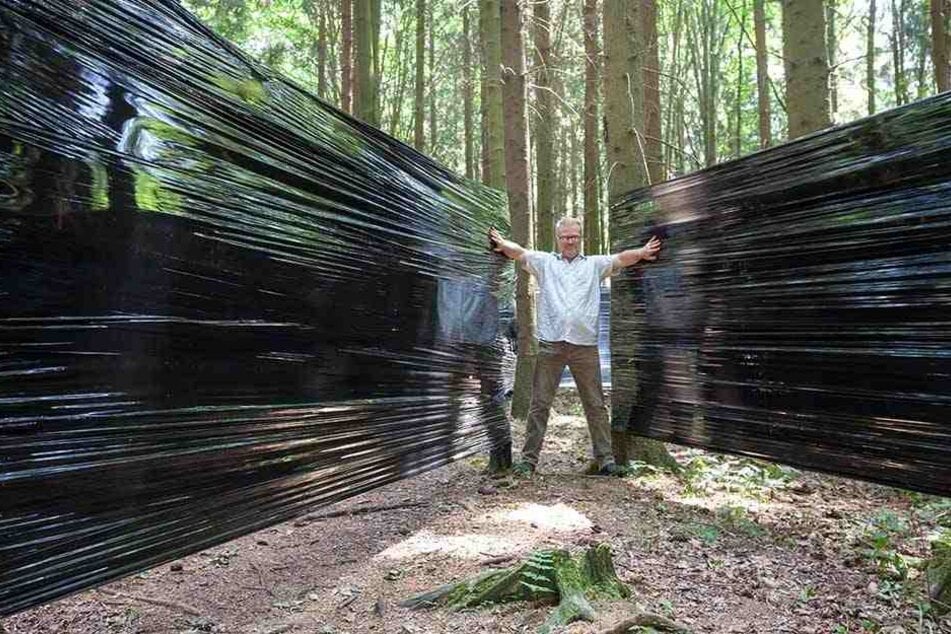 Bis zu 2,50 m hoch sind die Folien zwischen Bäume gespannt. Drüber gucken ist nicht. Das Labyrinth eröffnet am Freitag.