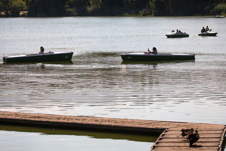 Stuttgart: Niedrigwasser in Stuttgarter Seen und Bächen: Das sind die Auswirkungen