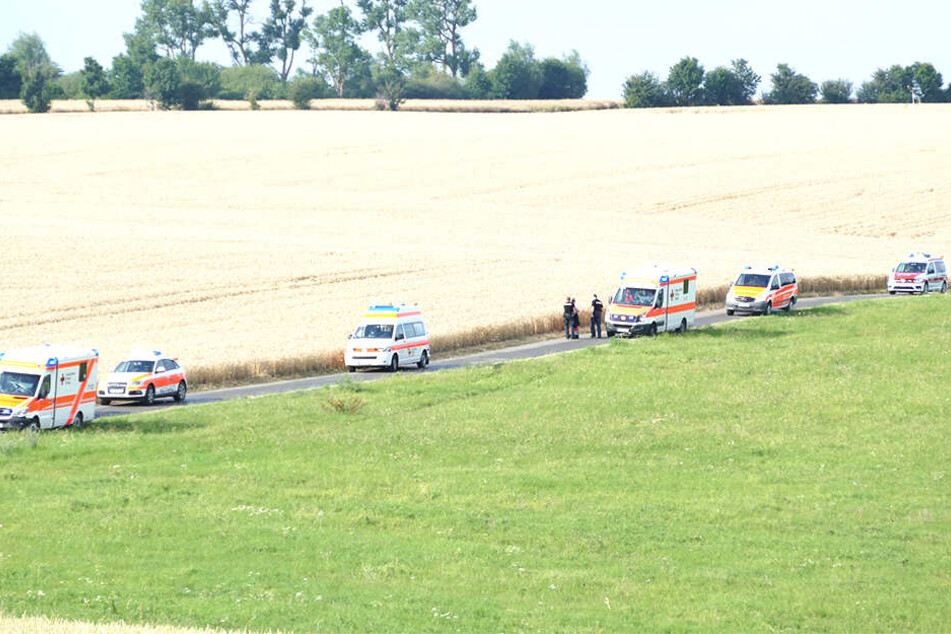 Mehrere Rettungswagen stehen an einem Feld.