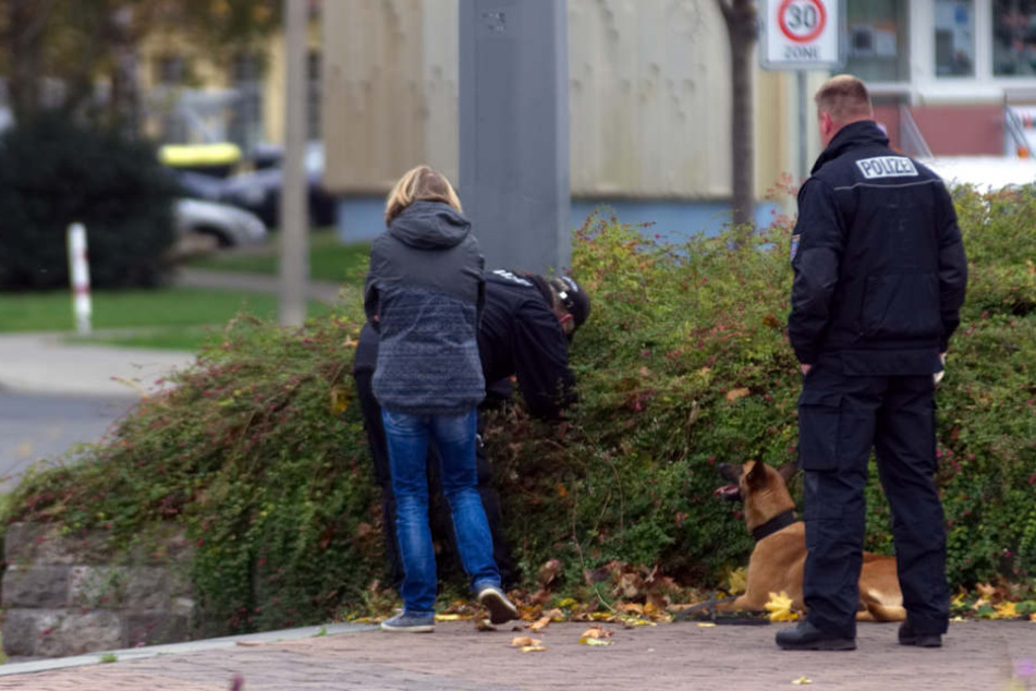 In einem Gebüsch sucht ein Polizist nach Hinweisen.