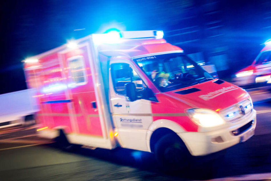 Der Hundebesitzer wurde schwer verletzt in ein Krankenhaus gebracht. (Symbolbild)