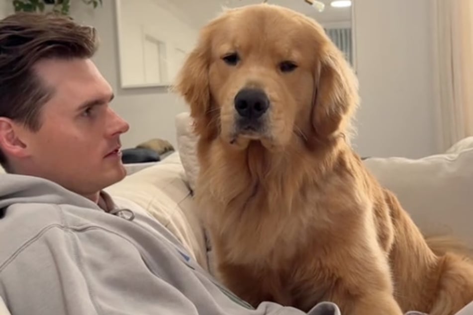 This grumpy look from Zebby the dog is not uncommon.
