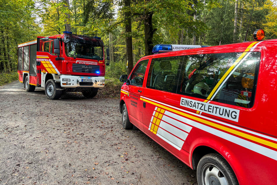 Im Spiegelwald wurde eine Frau vermisst.