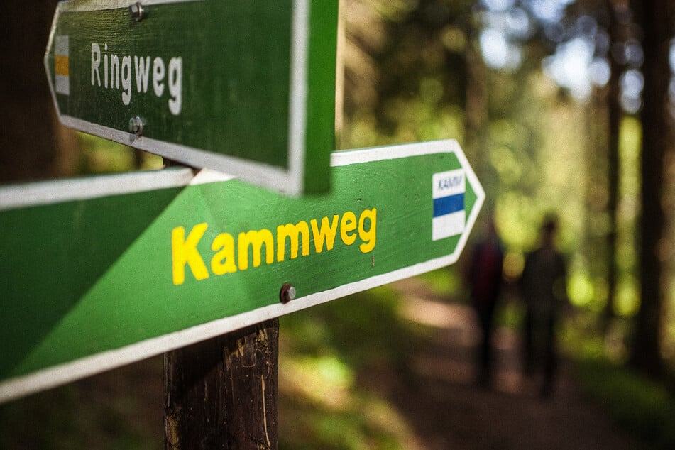 Schönster Wanderweg: Diese Kandidaten aus Sachsen kämpfen um den Titel