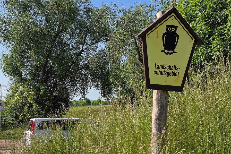 Das Schild übersehen wohl einige dann doch.