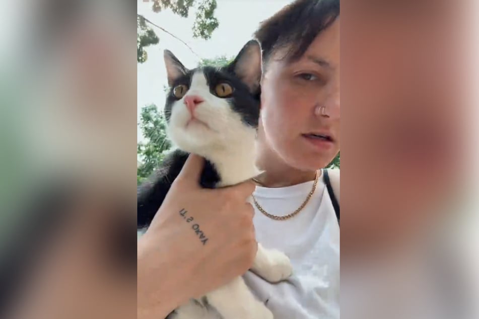 A Chicago woman was waiting for a train when a stranger thrust a cat into her arms and gave her a hug before disappearing.