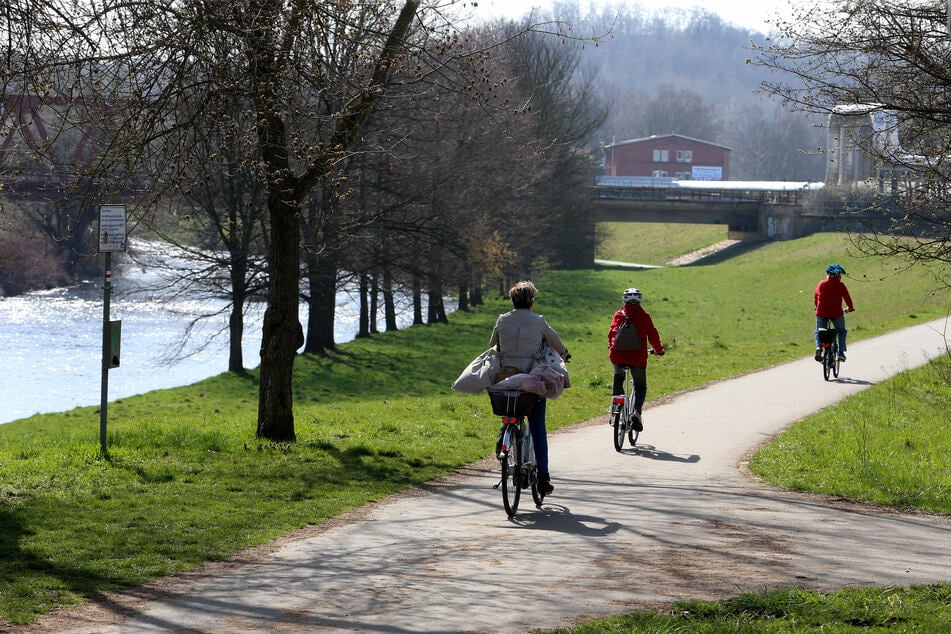 Der Mulderadweg in Zwickau (Archivbild)