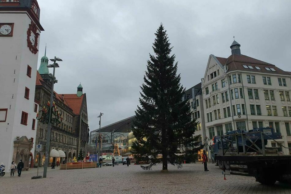 Ende November wurde der Weihnachtsbaum auf dem Chemnitzer Markt aufgestellt. Am Montag wird er nun gefällt und entsorgt.