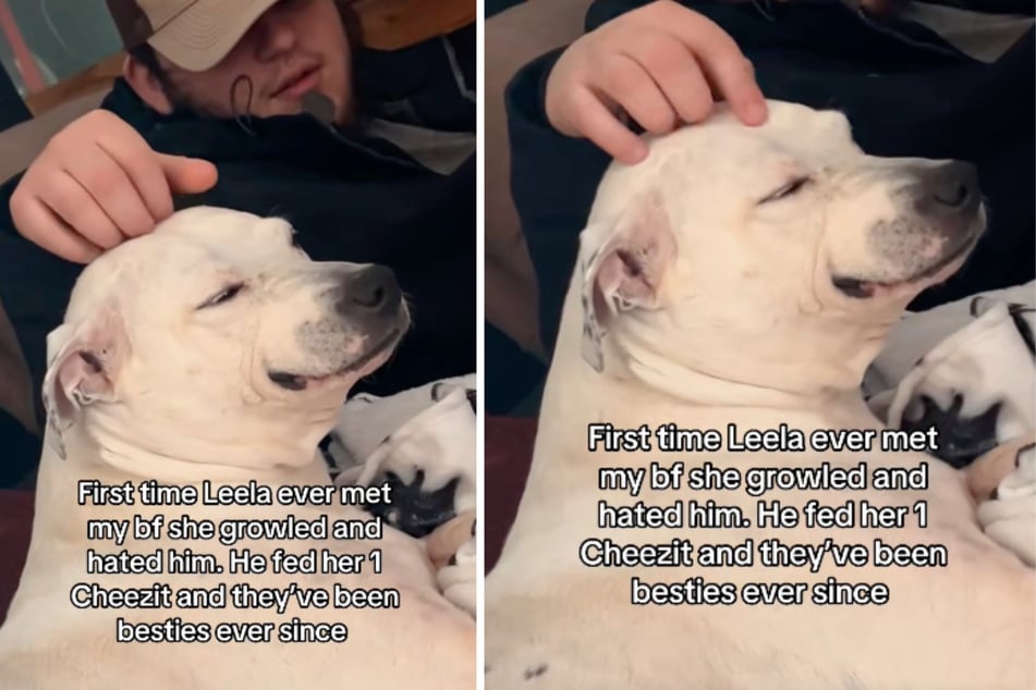 Mittlerweile sind Hündin Leela und Xavier Hammond ein Herz und eine Seele.