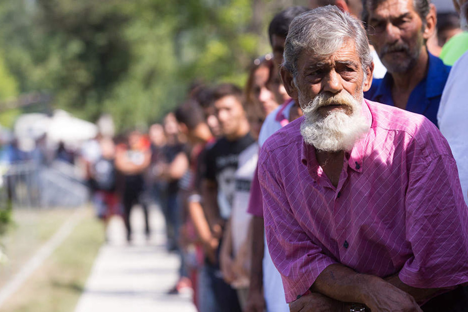 Jährlich gedenken die Menschen am 2. August, dem "Internationalen Tag des Gedenkens an den Genozid an den Sinti und Roma", den im Zweiten Weltkrieg ermordeten Sinti und Roma.