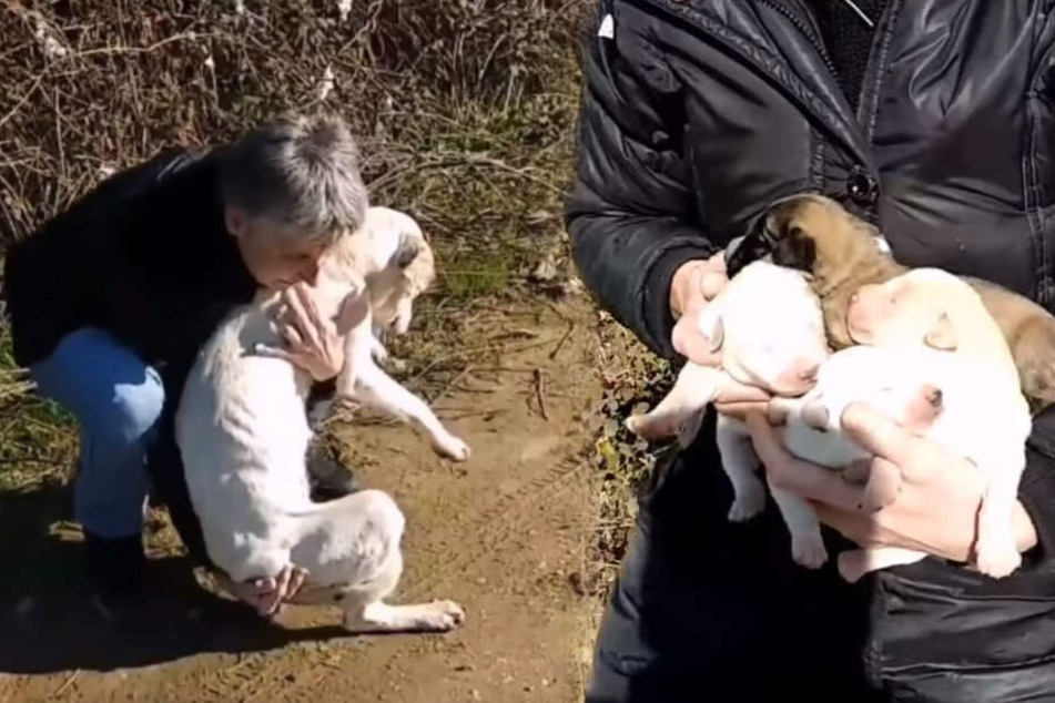Das Team von "Diasozo Animal Rescue" griff ein.