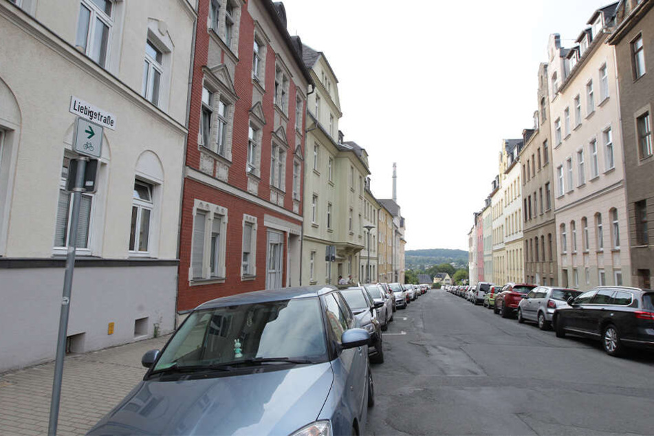 Die Liebigstraße in Plauen wirkt idyllisch, doch hier wurde ein Mann (59) schwer verletzt.
