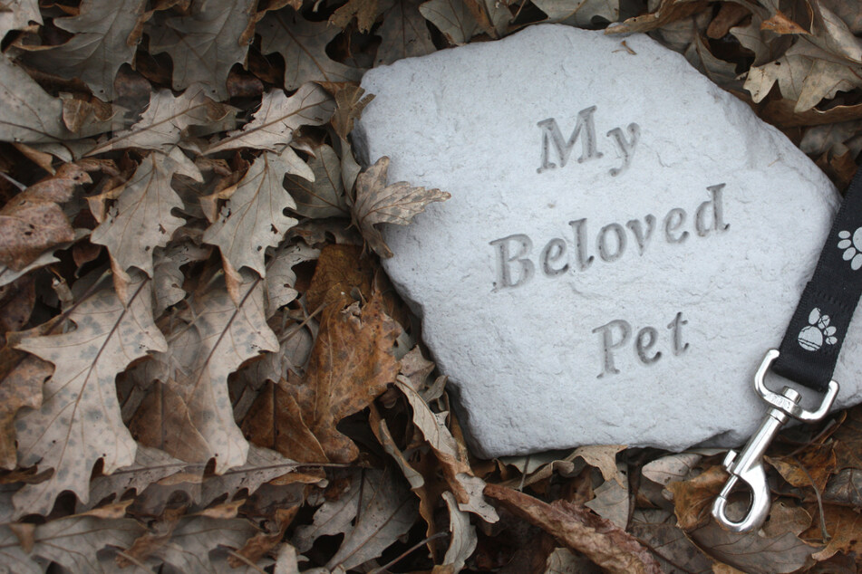 When your dog dies: How to prepare for and mourn your pet's death