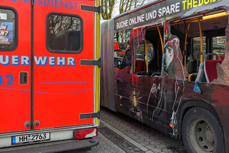 Zwei Scheiben des Linienbusses wurden zerstört.