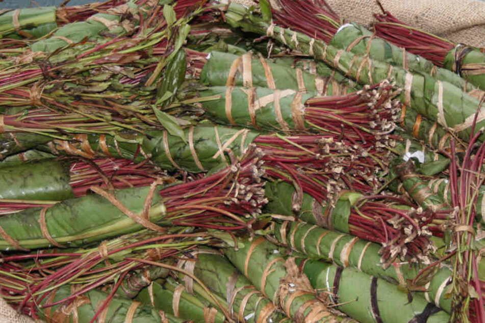 In den vier Paketen befanden sich insgesamt 64 Kilogramm Blätter der Khat-Pflanze.