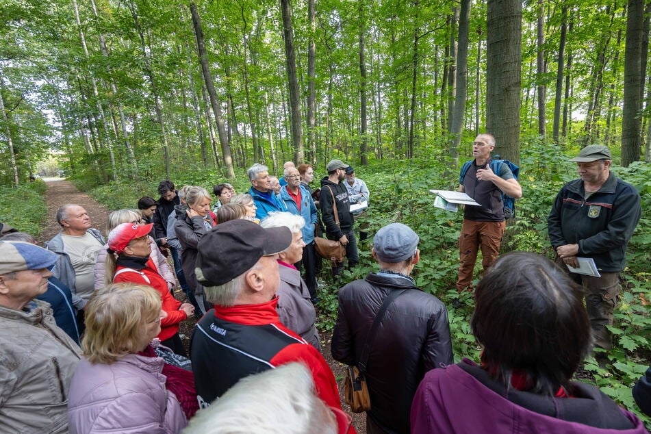 Die beiden Experten erklärten Besuchern bei einer Führung durch den Sechsruthenwald am Donnerstag Maßnahmen zur Forstverbesserung.