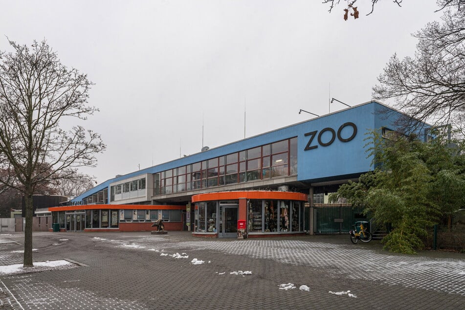 Noch ist der Dresdner Zoo für Besucher geschlossen.