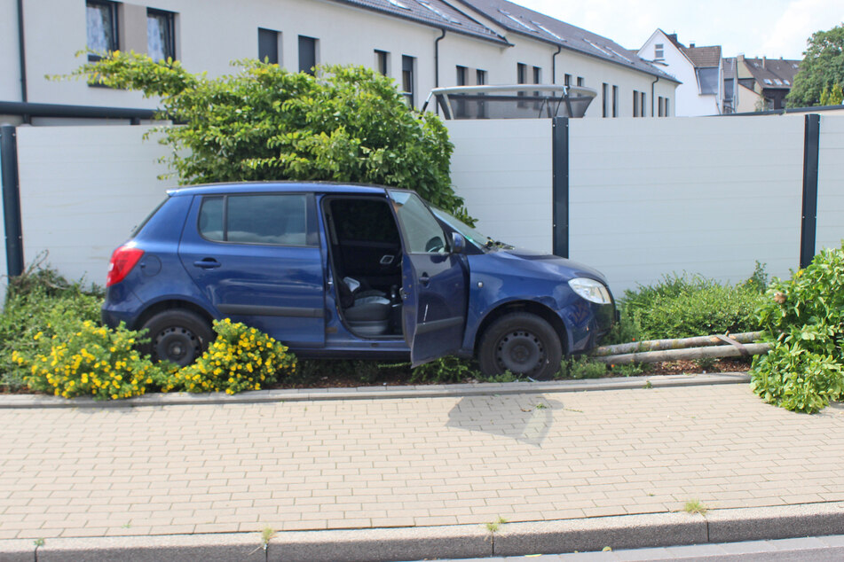 Die Trunkenheitsfahrt des 56-Jährigen war am Dienstag von einem Baum gebremst worden, der den blauen Skoda schließlich zum Stehen brachte.