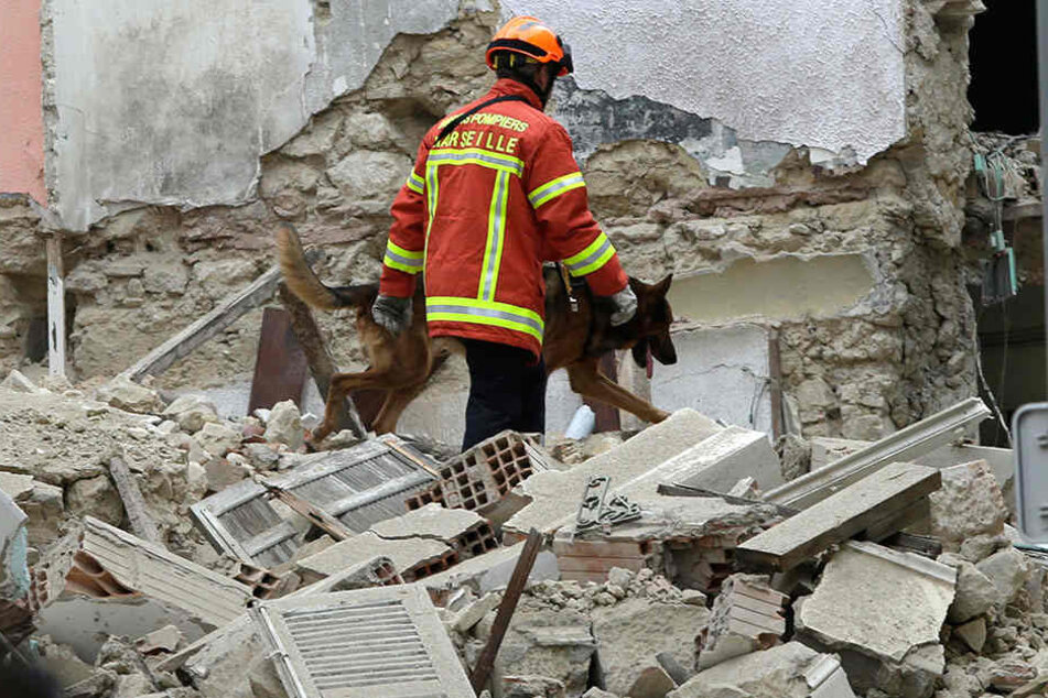 Ein Feuerwehrmann nutzt einen Spürhund ein, um nach dem Einsturz zweier mehrstöckiger Gebäude in der Innenstadt von Marseille, nach Opfern zu suchen.