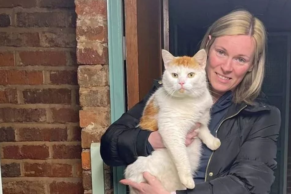 Cat goes missing for days before owners receive "miracle" call