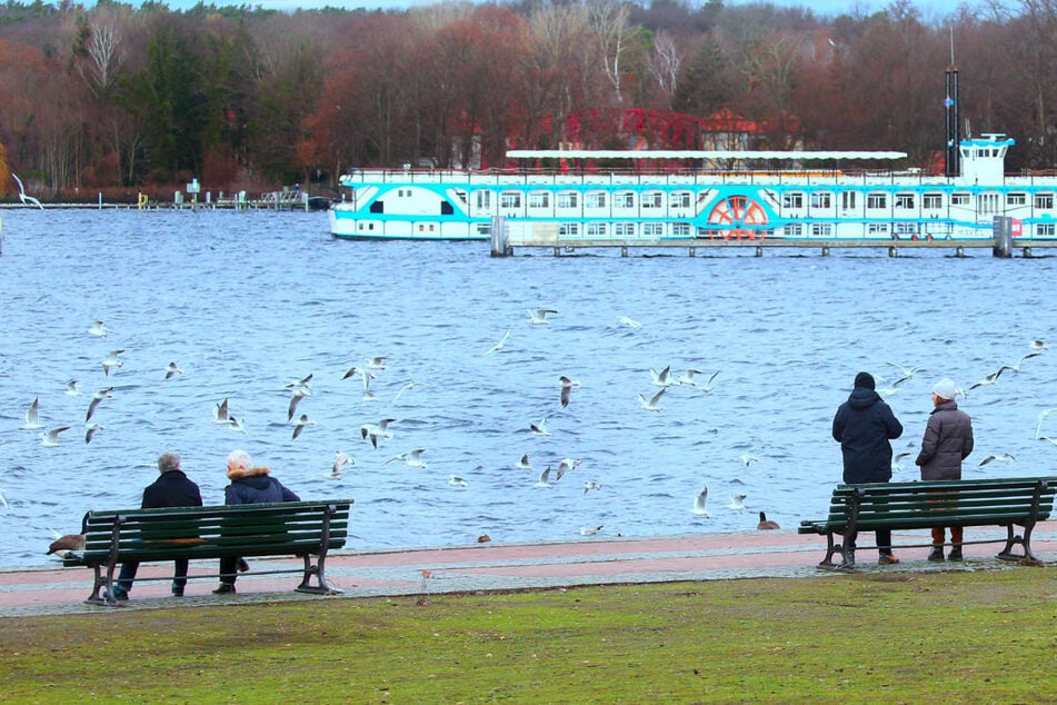 Das beliebte Hafenfest am Tegeler See lockt Jahr für Jahr nicht nur aus Reinickendorf viele Besucher an. (Archivfoto)