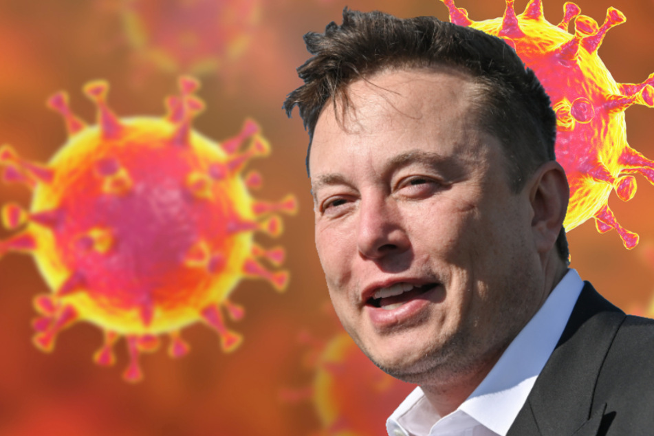 Tesla-Boss Elon Musk sorgt mit Corona-Tweet für Aufsehen
