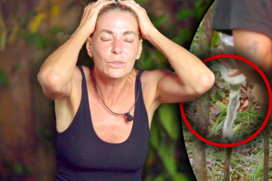 Dumme Umweltsünde Tat: TV-Diva kippt Weinflasche in den Dschungel