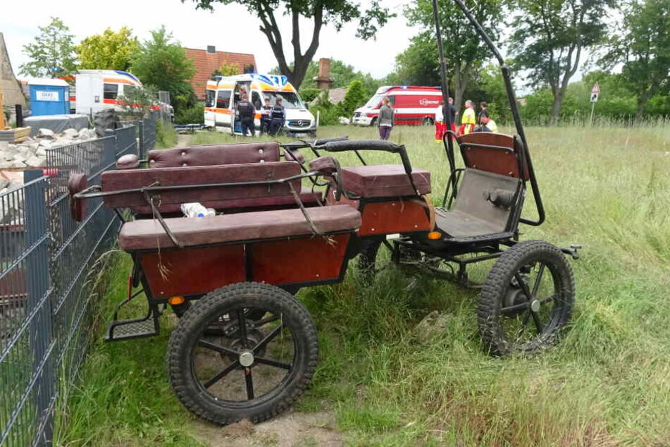 Demnach soll das Pferd der Kutsche durchgegangen und das Gefährt daraufhin mit einem Feldstein kollidiert sein.
