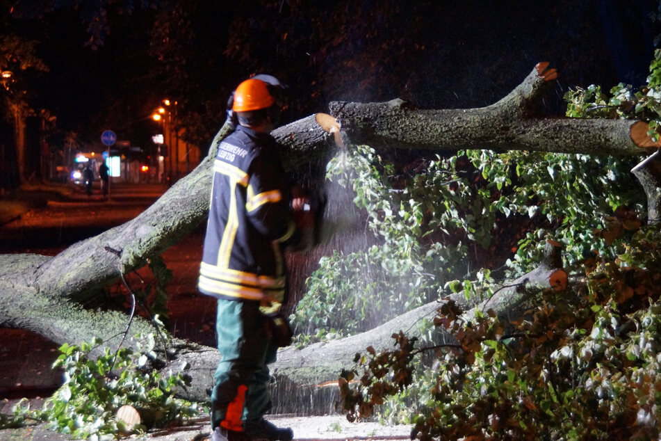 Vielerorts musste die Feuerwehr umgestürzte Bäume von den Straßen räumen.