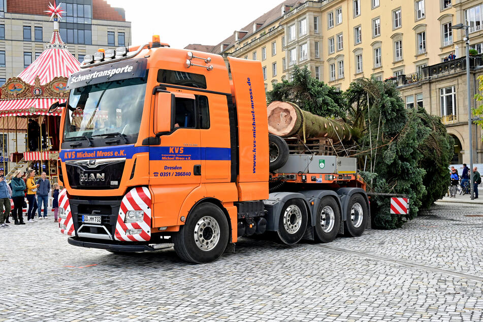 Für das Aufstellen der sieben Tonnen schweren Weihnachtstanne wurde der Altmarkt kurzzeitig eröffnet.