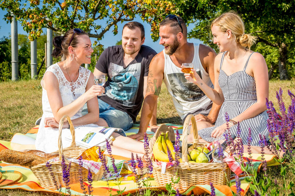 Freunde und Familien können sich am Sonntag in die blühenden Wiesen des Elbauenparks setzen und den Tag genießen.