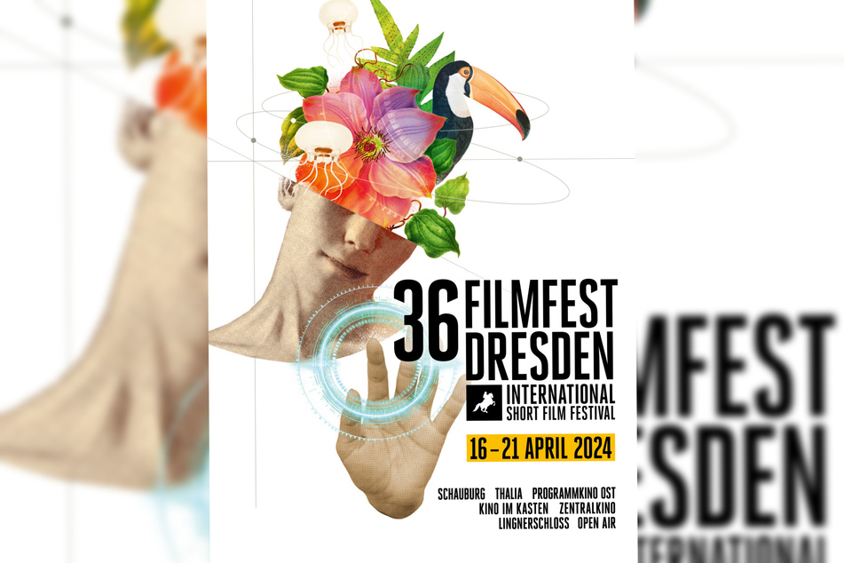 Das 36. Filmfest Dresden findet vom 16. bis 21. April statt.