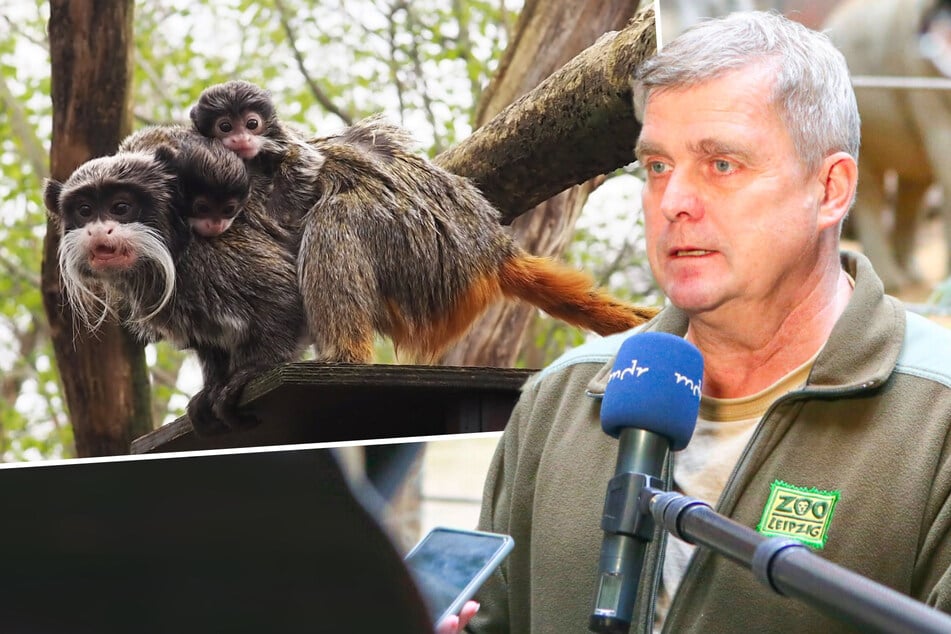 "Das ist der kleine Bernhard": Zoo Leipzig macht Urgestein süßes Abschiedsgeschenk