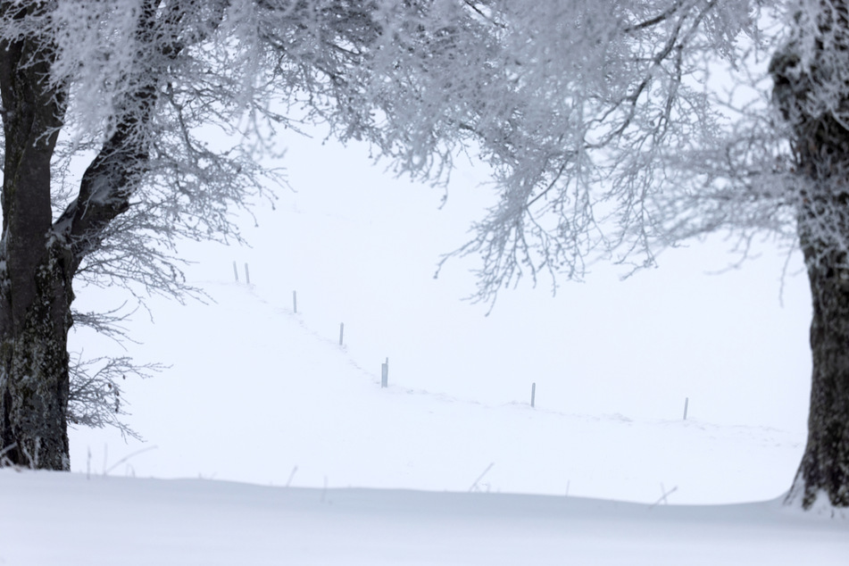 Schneelandschaften wie aus dem Bilderbuch sind im Januar mit etwas Glück auch in Baden-Württemberg möglich.