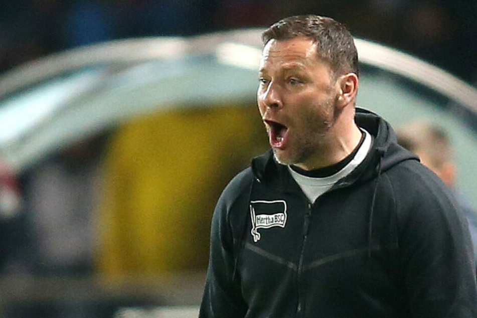 Pal Dardai reklamiert am Spielfeldrand.