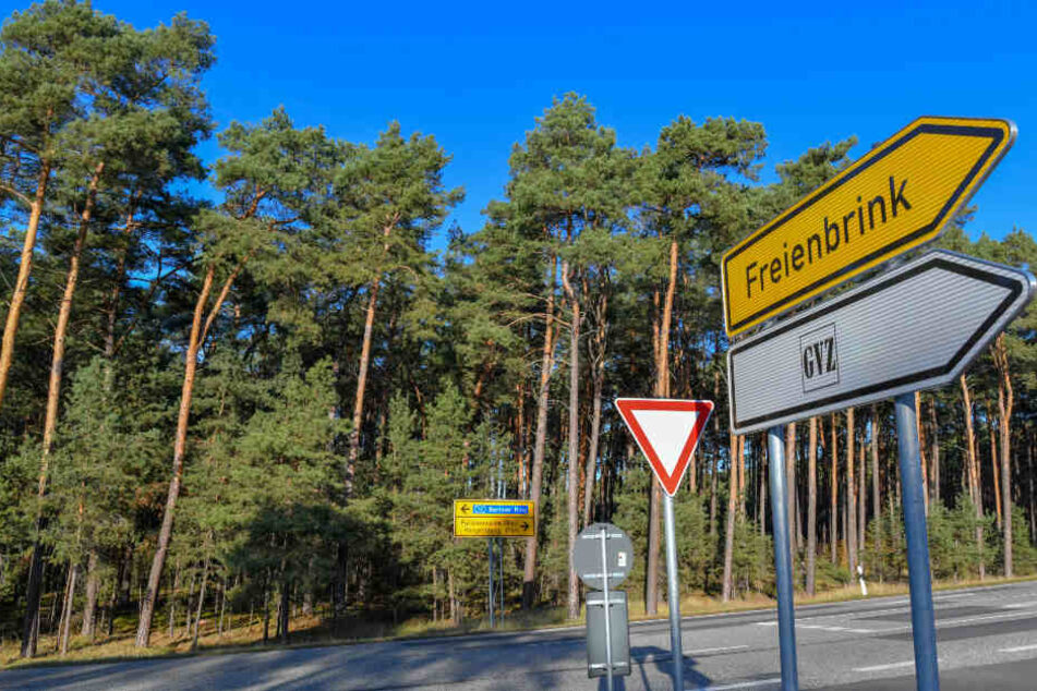 Ein Waldgebiet grenzt an eine Straße am Güterverkehrszentrum (GVZ) Freienbrink in der Gemeinde Grünheide östlich von Berlin.