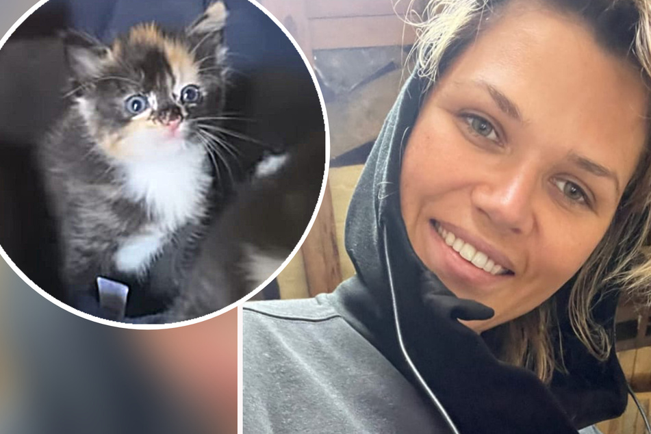 Von süßen Kitten bis hin zu wilden Tigern: Sara Kulka mitten im Katzen-Chaos!