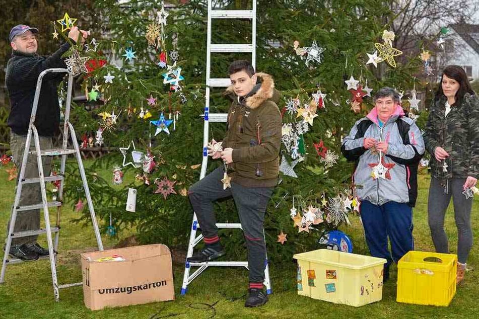 Die ganze Familie hilft Timo beim Aufhängern er vielen Weihnachtsgrüße an der sieben Meter hohen Tanne.