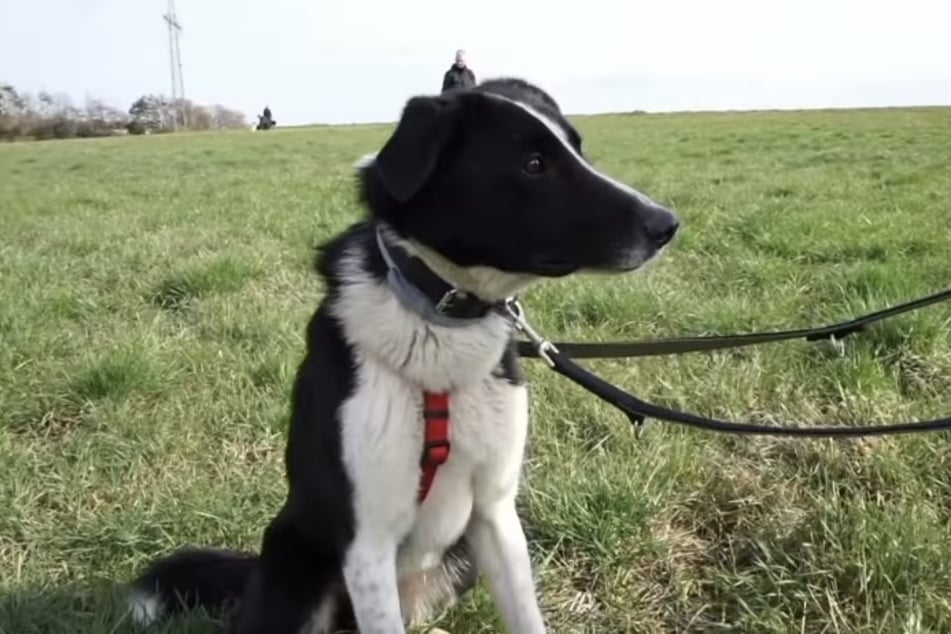 Bert liebt es, in der Natur unterwegs zu sein.