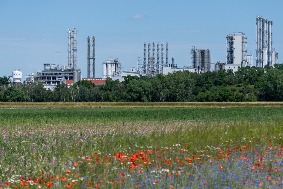 Laut Sparplan müssen 200 Mitarbeiter das Wacker-Werk in Nünchritz verlassen. (Symbolfoto)