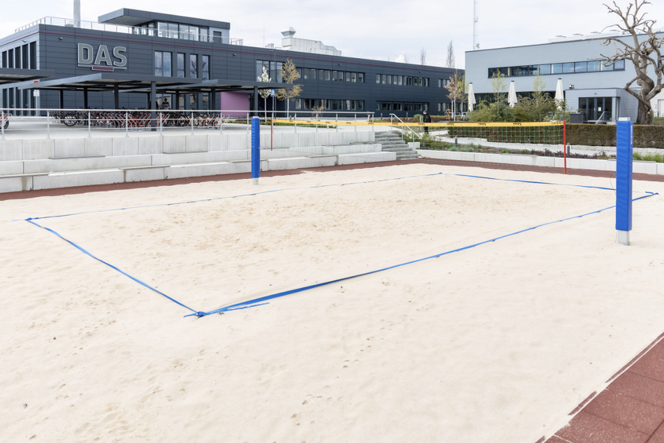 Ein eigenes Volleyballfeld auf Arbeit? Besser geht's nicht!